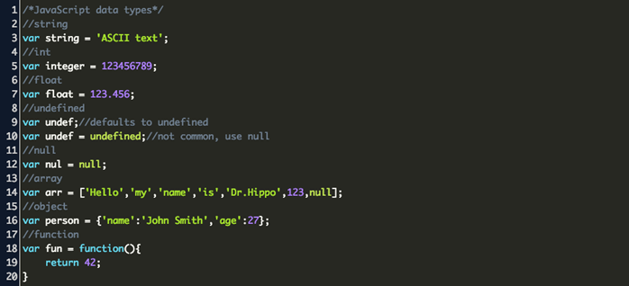 Javascript Datatypes Example